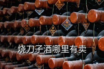 烧刀子酒哪里有卖