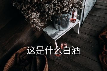 这是什么白酒