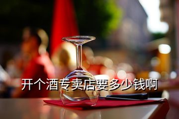 开个酒专卖店要多少钱啊