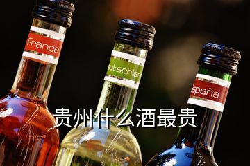 贵州什么酒最贵