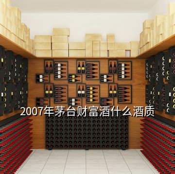 2007年茅台财富酒什么酒质