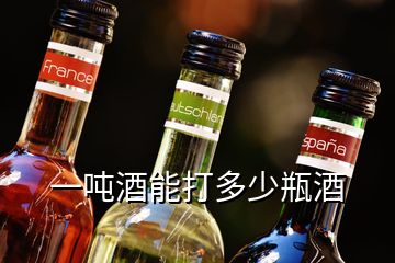 一吨酒能打多少瓶酒