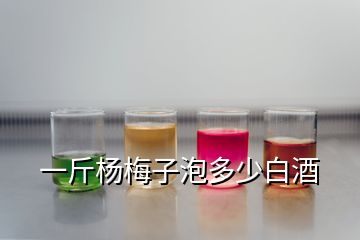 一斤杨梅子泡多少白酒