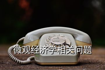 微观经济学相关问题