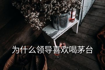 为什么领导喜欢喝茅台