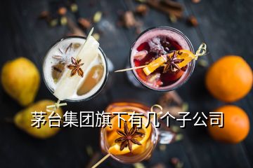 茅台集团旗下有几个子公司