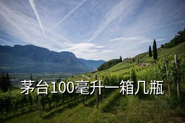 茅台100毫升一箱几瓶