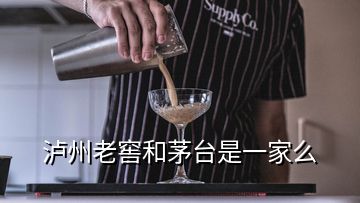 泸州老窖和茅台是一家么