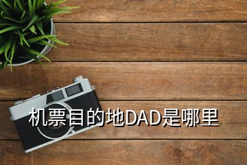 机票目的地DAD是哪里