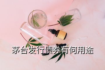 茅台发行债券有何用途