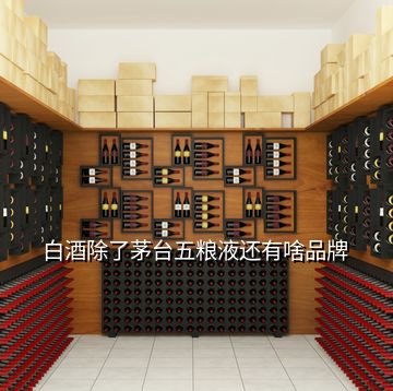 白酒除了茅台五粮液还有啥品牌