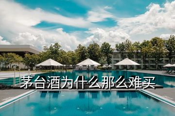 茅台酒为什么那么难买