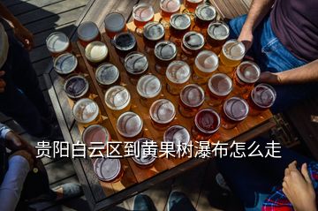 贵阳白云区到黄果树瀑布怎么走