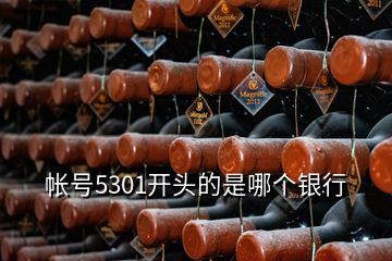 帐号5301开头的是哪个银行