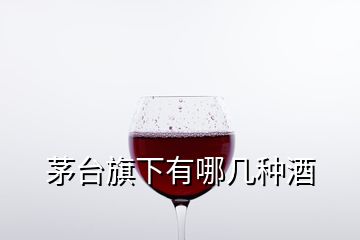 茅台旗下有哪几种酒