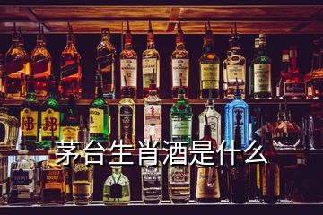 茅台生肖酒是什么