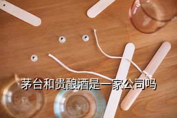 茅台和贵酿酒是一家公司吗