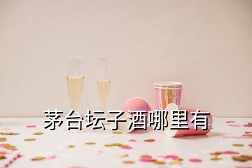 茅台坛子酒哪里有