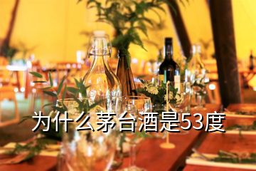 为什么茅台酒是53度