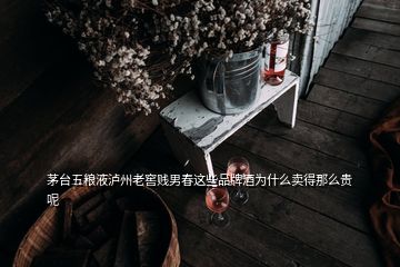 茅台五粮液泸州老窖贱男春这些品牌酒为什么卖得那么贵呢