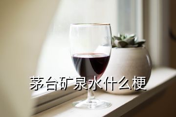 茅台矿泉水什么梗