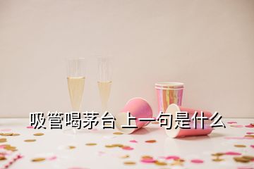 吸管喝茅台 上一句是什么