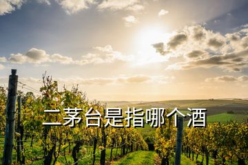 二茅台是指哪个酒