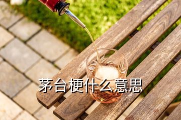 茅台梗什么意思