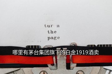 哪里有茅台集团旗下的白金1919酒卖