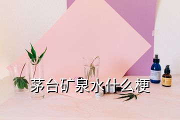 茅台矿泉水什么梗