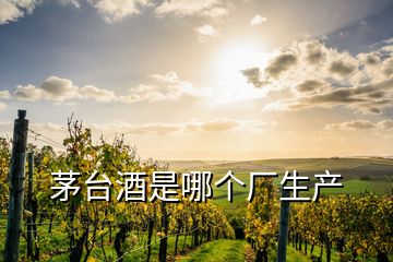 茅台酒是哪个厂生产