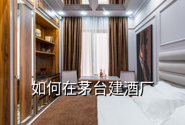 如何在茅台建酒厂