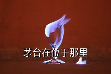 茅台在位于那里