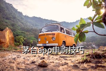 茅台app申购技巧