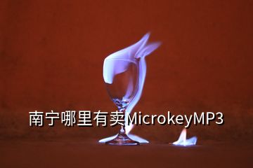 南宁哪里有卖MicrokeyMP3
