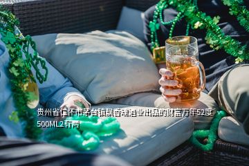 贵州省仁怀市茅台镇飘香魂酒业出品的财富万年52度500ML2有两