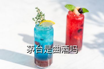 茅台是曲酒吗