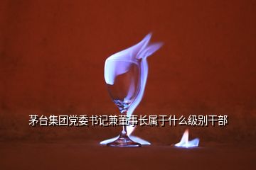 茅台集团党委书记兼董事长属于什么级别干部