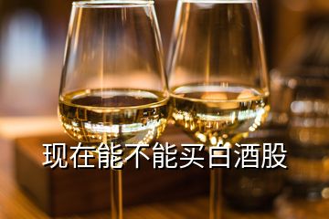 现在能不能买白酒股