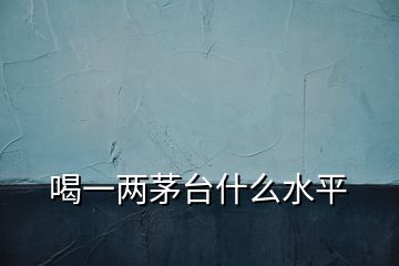 喝一两茅台什么水平