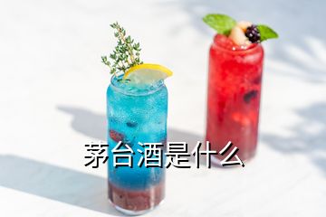 茅台酒是什么