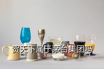 贺天下属于茅台集团吗