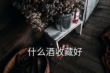 什么酒收藏好