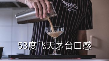 53度飞天茅台口感