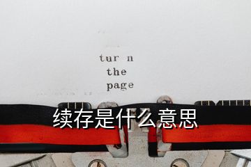 续存是什么意思