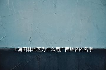 上海田林地区为什么用广西地名的名字