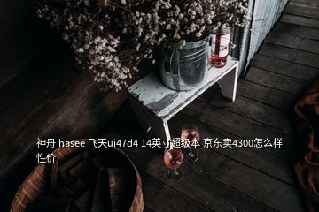 神舟 hasee 飞天ui47d4 14英寸超级本 京东卖4300怎么样性价