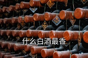 什么白酒最香