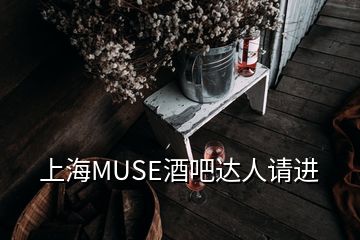 上海MUSE酒吧达人请进