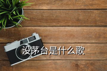 没茅台是什么歌